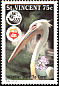 American White Pelican Pelecanus erythrorhynchos