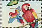 Scarlet Macaw Ara macao