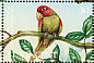 Red-masked Parakeet  Psittacara erythrogenys