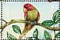 Red-masked Parakeet Psittacara erythrogenys