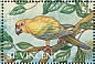 Sun Parakeet Aratinga solstitialis  1995 Parrots Sheet