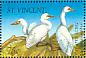 Great Egret Ardea alba  1995 Birds Sheet