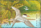 Royal Tern Thalasseus maximus  1995 Birds Sheet