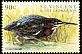 Green Heron Butorides virescens  1997 Birds of the sea 