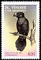 Smooth-billed Ani Crotophaga ani  1997 Birds of the world 