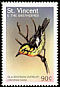 Blackburnian Warbler Setophaga fusca