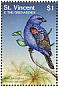 Blue Grosbeak Passerina caerulea