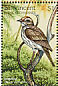 Ovenbird Seiurus aurocapilla  1997 Birds of the world Sheet