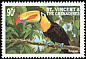 Keel-billed Toucan Ramphastos sulfuratus