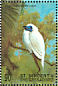 Bare-throated Bellbird Procnias nudicollis  1998 Birds of the world Sheet
