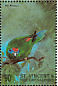 Double-eyed Fig Parrot Cyclopsitta diophthalma  1998 Birds of the world Sheet