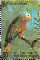 St. Vincent Amazon Amazona guildingii  1998 Birds of the world Sheet