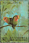 Rosy-faced Lovebird Agapornis roseicollis