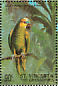 Turquoise-fronted Amazon Amazona aestiva  1998 Birds of the world Sheet