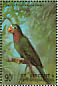 Yellow-billed Amazon Amazona collaria  1998 Birds of the world Sheet