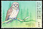 Barred Owl Strix varia