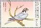 Eurasian Hobby Falco subbuteo  2001 Birds of prey Sheet