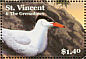 Caspian Tern Hydroprogne caspia