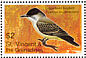 Loggerhead Kingbird Tyrannus caudifasciatus  2007 Birds of the Caribbean Sheet