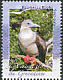 Red-footed Booby Sula sula  2009 Seabirds 