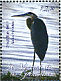 Great Blue Heron Ardea herodias