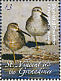 Short-billed Dowitcher Limnodromus griseus  2009 Seabirds Sheet