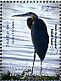 Great Blue Heron Ardea herodias  2010 Overprint Haiti Earthquake.. on 2009.02 Sheet