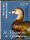 Pied-billed Grebe Podilymbus podiceps