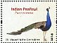 Indian Peafowl Pavo cristatus