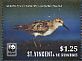 Semipalmated Sandpiper Calidris pusilla  2014 WWF 