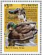 Mallard Anas platyrhynchos  2014 Farm animals Sheet