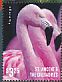 American Flamingo Phoenicopterus ruber  2015 Flamingos I Sheet