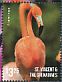 American Flamingo Phoenicopterus ruber  2015 Flamingos I Sheet