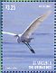 Great Egret Ardea alba  2015 Great Egret I Sheet