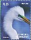 Great Egret Ardea alba