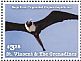 Magnificent Frigatebird Fregata magnificens