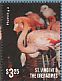 American Flamingo Phoenicopterus ruber  2015 Flamingos II Sheet