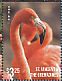 American Flamingo Phoenicopterus ruber  2015 Flamingos II Sheet