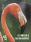 American Flamingo Phoenicopterus ruber  2015 Flamingos II Sheet