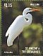 Great Egret Ardea alba