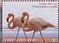 American Flamingo Phoenicopterus ruber  2017 Flamingos Sheet