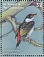 Pin-tailed Manakin Ilicura militaris  2018 Colorful birds Sheet