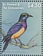 Golden-breasted Starling Lamprotornis regius  2018 Colorful birds Sheet