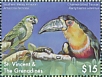 Mealy Amazon Amazona farinosa  2018 Colorful birds  MS