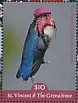 Bee Hummingbird Mellisuga helenae