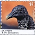 Black Vulture Coragyps atratus  2020 Black Vulture Sheet