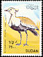 Buff-crested Bustard Lophotis gindiana  1990 Birds 