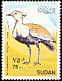 Buff-crested Bustard Lophotis gindiana