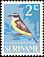 Great Kiskadee Pitangus sulphuratus  1966 Birds 