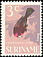 Silver-beaked Tanager Ramphocelus carbo  1966 Birds 